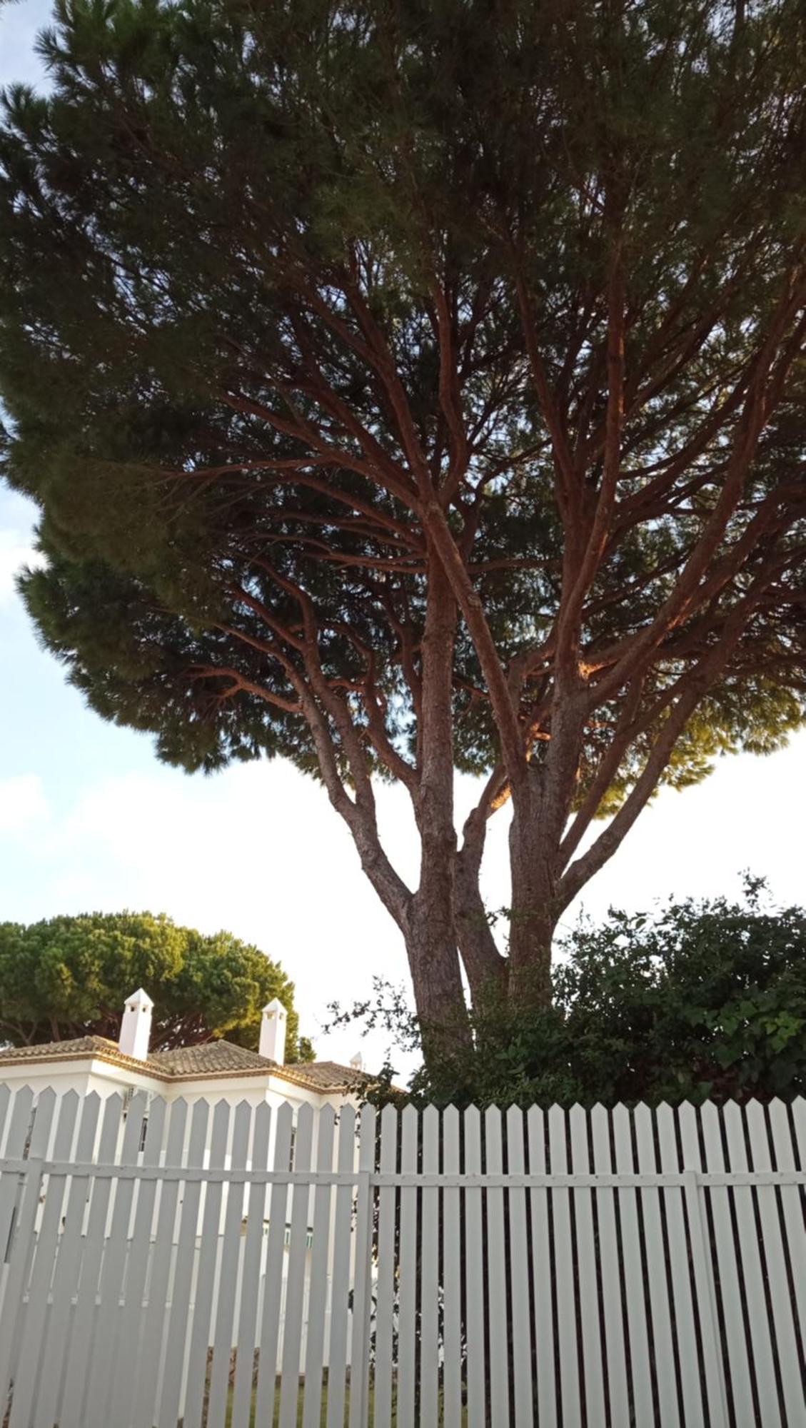 Apartamento La Barrosa - Chiclana - Urb. Pinar Atlantico Chiclana de la Frontera Dış mekan fotoğraf